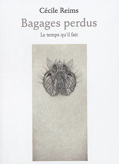 Bagages perdus