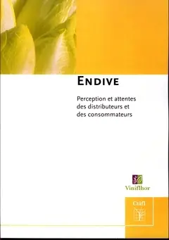 Endive : perception et attentes des distributeurs et consommateurs