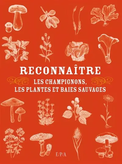 Reconnaître les champignons, les plantes et baies sauvages