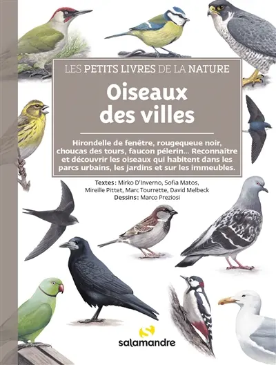 Oiseaux des villes : hirondelle de fenêtre, rougequeue noir, choucas des tours, faucon pèlerin... : reconnaître et découvrir les oiseaux qui habitent dans les parcs urbains, les jardins et sur les immeubles