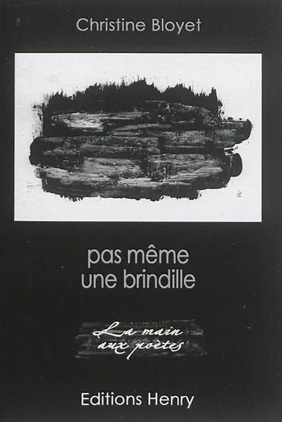Pas même une brindille
