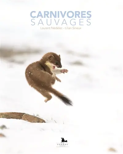Carnivores sauvages
