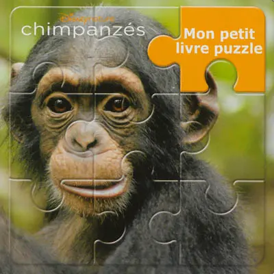 Chimpanzés