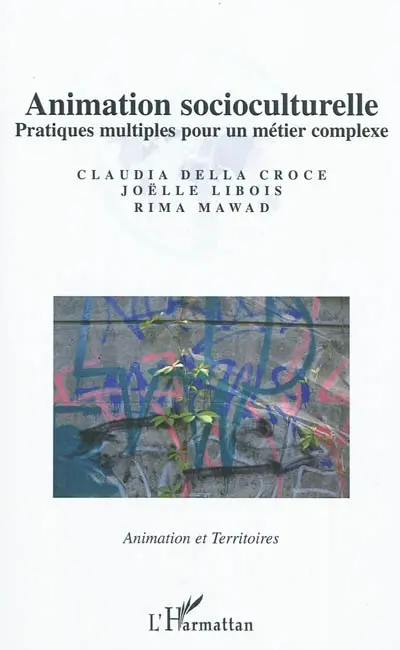 Animation socioculturelle : pratiques multiples pour un métier complexe