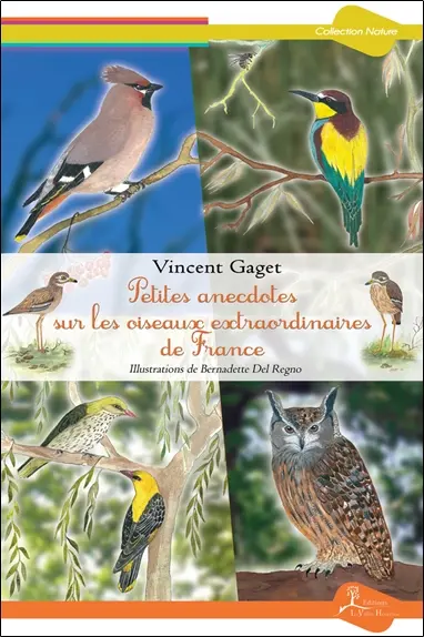 Petites anecdotes sur les oiseaux extraordinaires de France