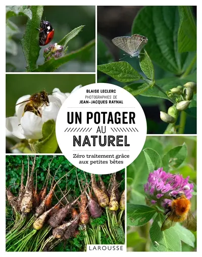 Un potager au naturel : zéro traitement grâce aux petites bêtes
