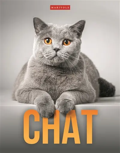 Chat