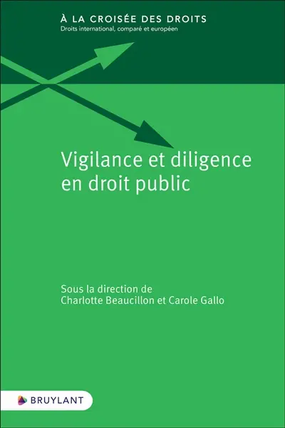 Vigilance et diligence en droit public