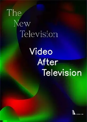 The New Television : Video After Television
