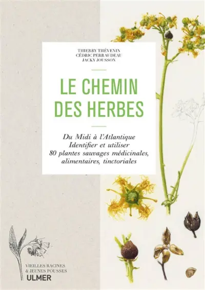 Le chemin des herbes : du Midi à l'Atlantique : identifier et utiliser 80 plantes sauvages médicinales, alimentaires, tinctoriales