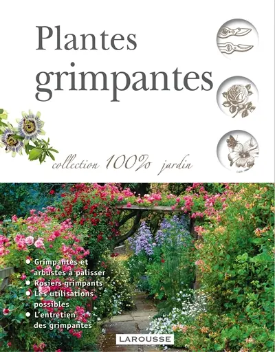 Plantes grimpantes