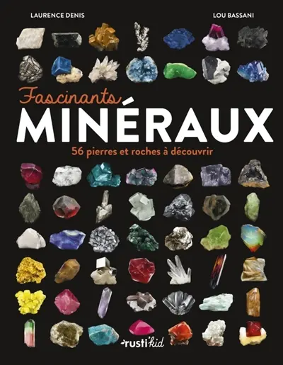 Fascinants minéraux : 56 pierres et roches à découvrir