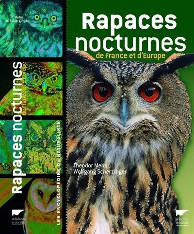 Rapaces nocturnes de France et d'Europe