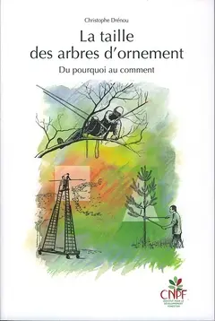 La taille des arbres d'ornement : du pourquoi au comment