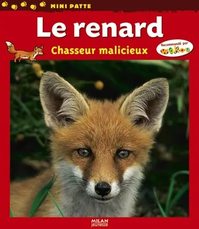 Le renard : chasseur malicieux