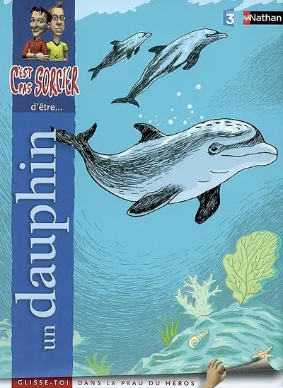 Un dauphin