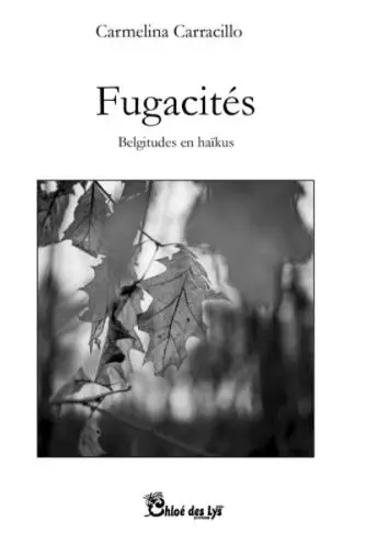 Fugacités : belgitudes en haïkus