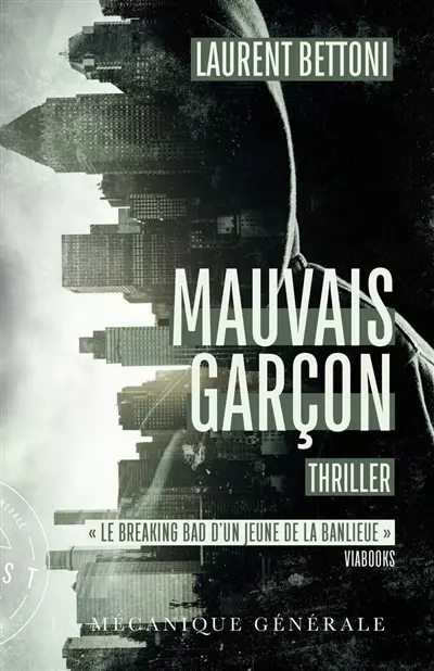 Mauvais garçon : thriller
