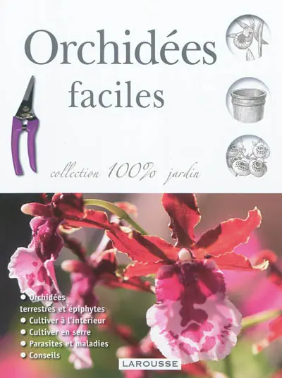 Orchidées faciles