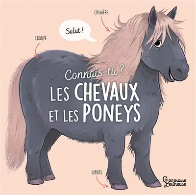 Connais-tu les chevaux et les poneys ?