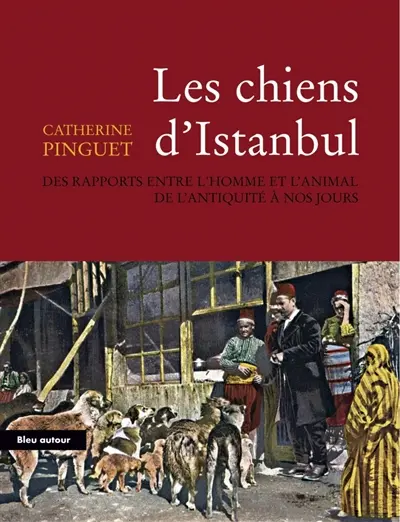 Les chiens d'Istanbul : des rapports entre l'homme et l'animal de l'Antiquité à nos jours