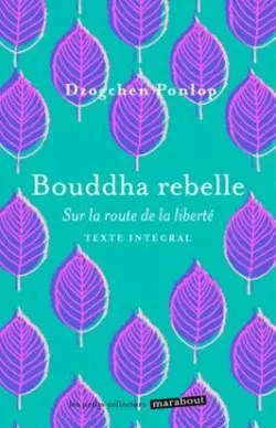 Bouddha rebelle : sur la route de la liberté