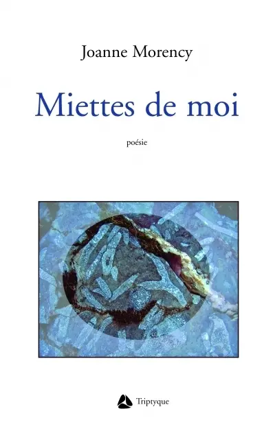 Miettes de moi : poèmes en prose