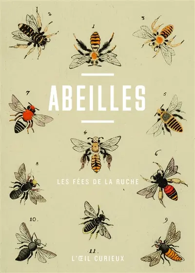 Abeilles : les fées de la ruche