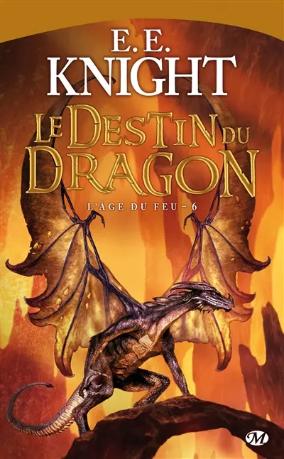 L'âge du feu. Vol. 6. Le destin du dragon
