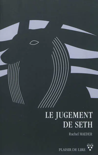Le jugement de Seth : roman policier