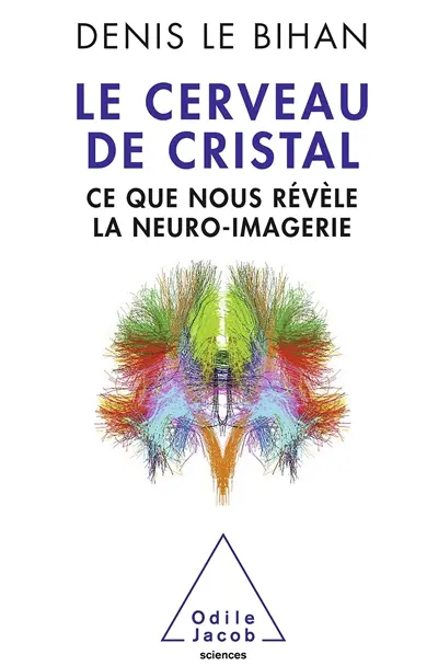 Le cerveau de cristal : ce que nous révèle la neuro-imagerie