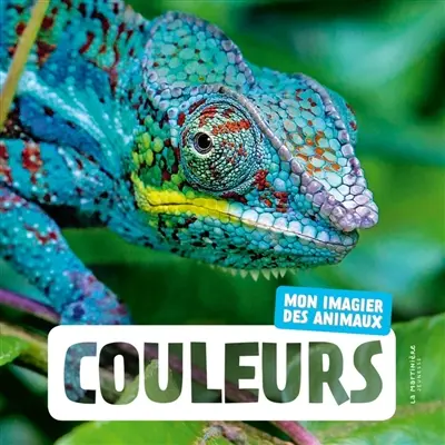 Couleurs