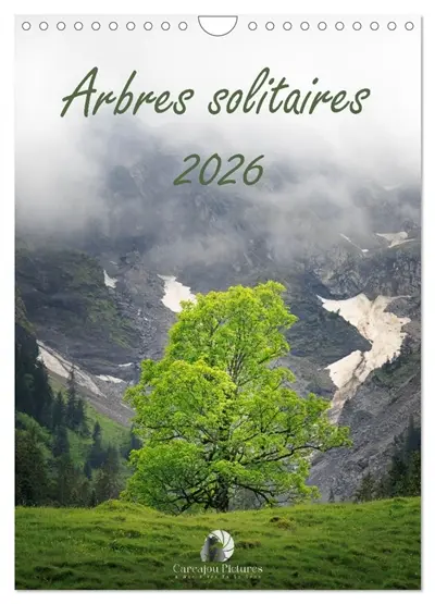 Arbres solitaires (Calendrier mural 2026 DIN A4 horizontal), CALVENDO calendrier mensuel : Un hommage poétique à la majesté et à la force tranquille des arbres qui se dressent seuls, témoins intemporels de la nature et des saisons.