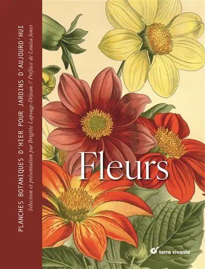 Fleurs : planches botaniques d'hier pour jardins d'aujourd'hui