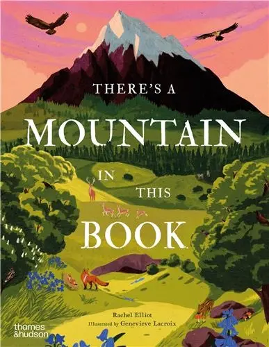 There´s a Mountain in This Book