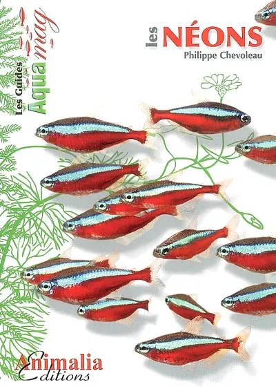 Les néons : Hemigrammus erythrozonus, Hyphessbrycon herbertaxelrodi, Paracheirodon spp.