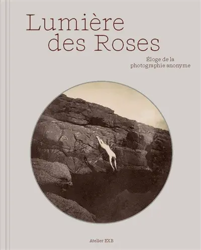 Lumière des roses : éloge de la photographie anonyme 	