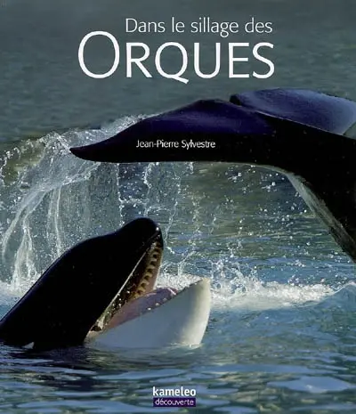 Dans le sillage des orques