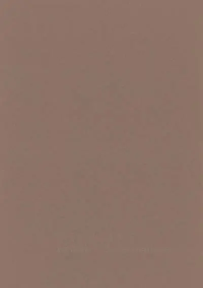 Estampe : histoire & techniques : exposition, Musée Jenisch, Vevey, 4 mars-22 août 2004