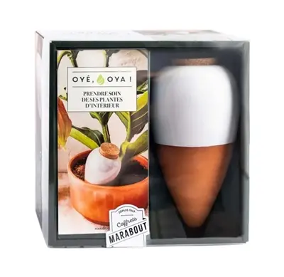 Oyé, oya ! : prendre soin de ses plantes d'intérieur