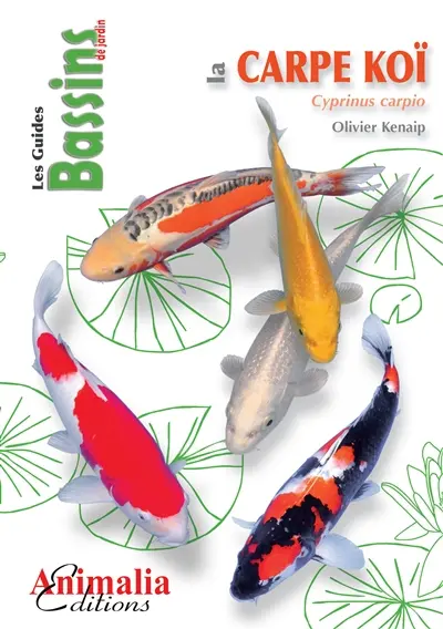 La carpe koï : Cyprinus carpio