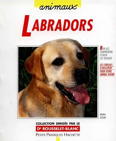 Labradors