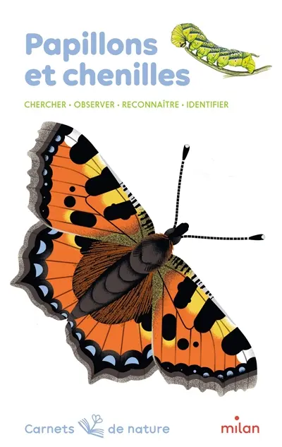 Papillons et chenilles : chercher, observer, reconnaître, identifier