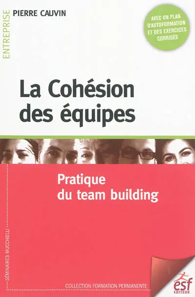 La cohésion des équipes : pratique du team building