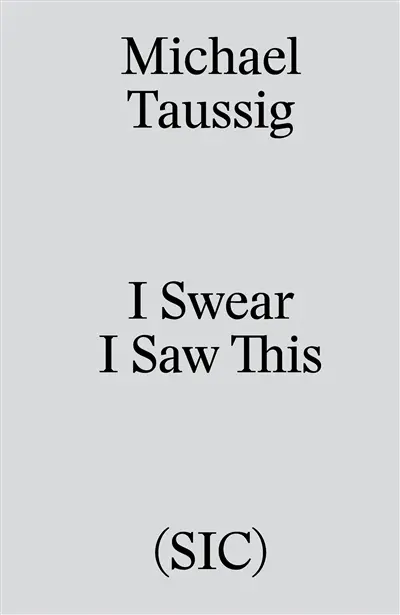 I swear I saw this : sur quelques dessins de carnets de terrain