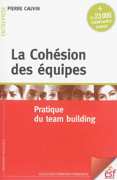 La cohésion des équipes : pratique du team building