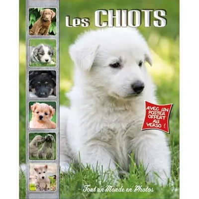 Les chiots