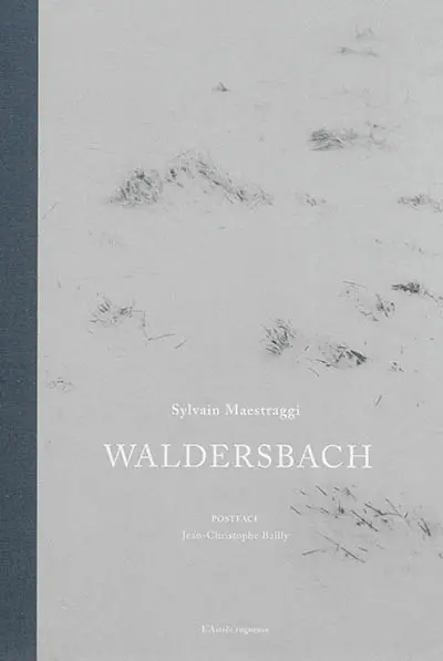 Waldersbach : d'après Lenz de Georg Büchner et le manuscrit du pasteur Oberlin