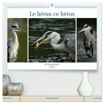 Le héron ce héros de l'étang Colbert (Calendrier mural 2026 DIN A2 vertical) calendrier de bureau : L'activité du héron cendré au bord d'un étang.