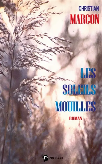 Les Soleils mouillés